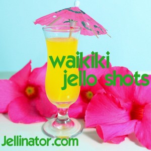 Waikiki Jello Shots